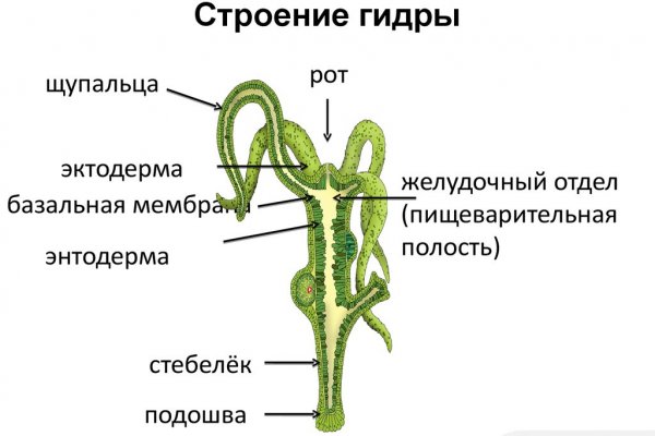 Кракен официальный сайт