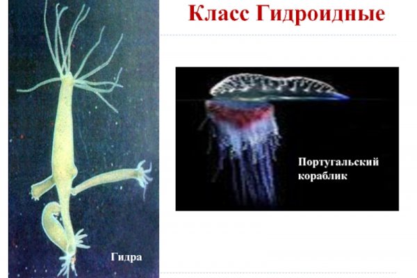 Кракен 16