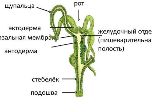 Kraken 15at сайт krakens15 at